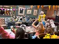 Drag Queen Bingo Brunch