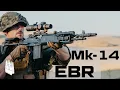 Download Lagu Mk14 Mod 0 EBR, The M-14 when given enough steroids to kill a horse.