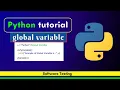 Python Programming Global Variable Software Testing