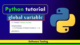 Python Programming Global Variable Software Testing