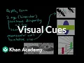 Visual cues Processing the Environment MCAT Khan Academy
