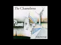 THE CHAMELEONS - Don't Fall