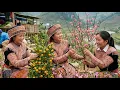 Lagu Vietnam’s Mountain Market Before Tet | Raw Bac Ha Lunar New Year Preparations