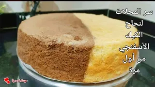 طريقة عمل كيك أسفنجي Sponge Cakeمرتفعة لكل أنواع التورتات مقاس ٢٤سم 