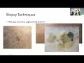 Down to Earth Dermpath Dermalorian Webinar