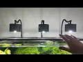 Asta-120 80w LED aquarium light update