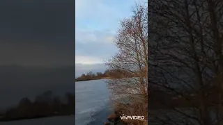 غريبة الدنيا 