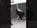 Download Lagu Aggressive Doberman Pinischer Military Training Skills #dogs #dog #dogshorts #viral