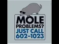 2 Step Mole Problems