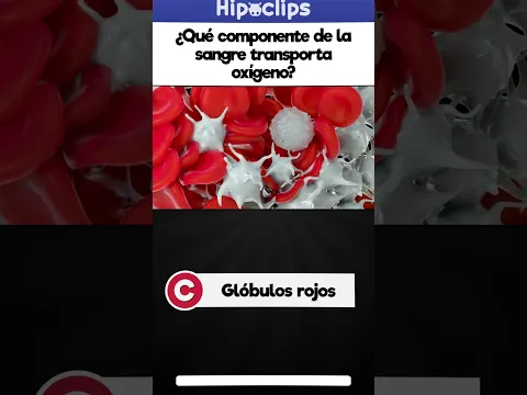 Preguntas del Sistema Circulatorio ¿CUÁNTO SABES?