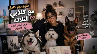 فلوق يوم كامل مع كلابي الثلاثه  دندنها
