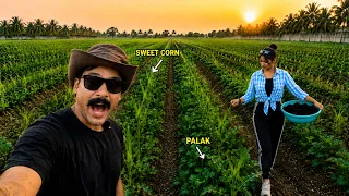 ₹3 Lakh Ka Sabse Risky Experiment... Same Zameen Par Ek Saath 2 Fasal! Munafa Double? 😳 - Vlog 6