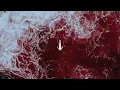 Innellea - The Loss Of Hope