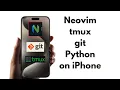 neovim tmux python git on an iPhone