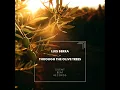 Through the Olive Trees - Luis Berra