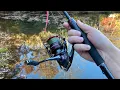 Lagu Shimano Vanford/Zodias First Impressions and Fishing