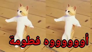  اغنية باسم فطومة الحلوة فطومه   فطومة فطوم  السعودية الكويت العراق تركيا قطر الجزائر دبي جدة الرياض دندنها