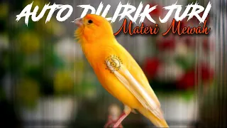 Download AUTO DILIRIK JURI - MASTERAN KENARI GACOR CENGKOK  MEWAH SIKATAN LONDO MP3