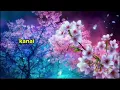 Download Lagu Karaoke Original - Frans Ariesta - Ciinan Bana