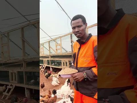 Desagu Chicken Farming