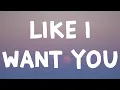 Download Lagu Giveon - Like I Want You (Lyrics)