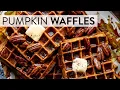 Pumpkin Waffles Sally s Baking