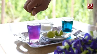 صباحك مصري | الشاي الأزرق