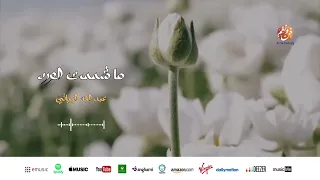                                        ما شممت الورد   من أجمل أناشيد   عبد الله البياتي دندنها