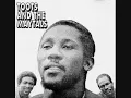 Toots And The Maytals - Time Tough
