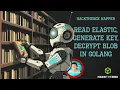 HackTheBox Napper Read Elastic Generate Key Decrypt Blob in Golang