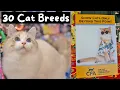 Meet Every Cat Breed at the Largest Cat Show in the World CFA International 2023 The Cat Butler