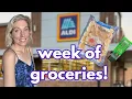 aldi haul weekly dinner ideas family groceries