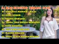 Download Lagu DJ UWAI SILO MAMALO MALO NONTOP REMIX TERBARU 2025