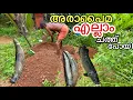 Download Lagu കള്ളൻ കയറി..അരാപൈമ എല്ലാം ചത്ത് പോയി..ചാനൽ നിത്തിയോ..😢Kilikood Update..WHAT HAPPENED!!