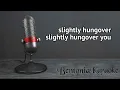 Blues Delight-Slightly Hungover (Karaoke version)