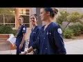 UA Online - RN to MSN Program Overview