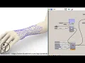 Simulation of Leaf Venation Patterns Or Growth Patterns on a mesh using Parakeet