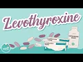 Levothyroxine and How It Works Pharmacology help for Nursing School