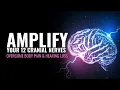 Amplify Your 12 Cranial Nerves Overcome Your Vertigo Dizziness Intense Body Pain and Hearing Loss