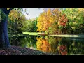 Adam Taylor - Electric [Subculture]