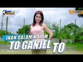 Download Lagu DJ IKAN DALAM KOLAM To Ganjel To Ganjel - FIKO 88 CHANNEL REMIX THAILAND STYLE JEDAG JEDUG TERBARU