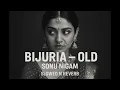 Bijuria (Old) | Slowed Reverb | Sonu Nigam