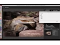 Canon Digital Photo Professional DPP 4 Software Overview and Interface Tour
