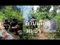 Download Lagu คั่วหมูป่า,กินลาบเลือดแซ่บสุดยอด