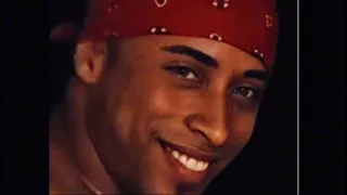 basshunter dota slowed to perfection 