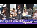 Download Lagu pok alpa NINA CAROLINA | nyatakanlah