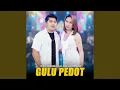 Download Lagu Gulu Pedot
