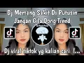 Download Lagu DJ MEMANG SAKIT DIPUTUSIN TAPI JANGAN DIPIKIRIN - JANGAN GILA DONG BANG RIS VIRAL TIKTOK 2025