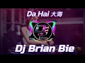 Download Lagu Da Hai 大海 Remix By Dj Brian Bie