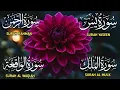 Surah Yaseen ❤ Surah Rahman ❤ Surah Al Waqia ❤ Surah Al mulk Soothing Quran recitation | Ep000352